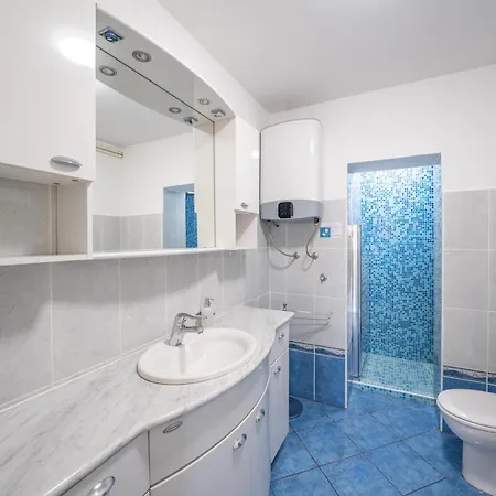 Sea Sponge بروداريكا