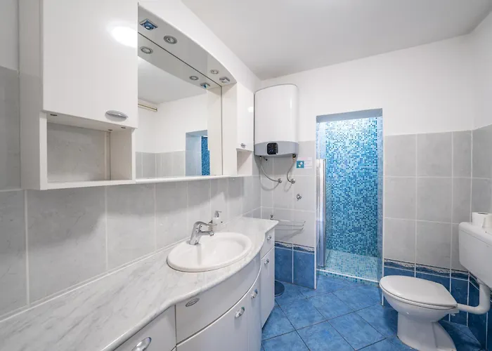 Sea Sponge Brodarica (Sibenik-Knin)